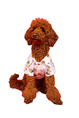 Goodboi Beyaz Poplin Kaptan Gömlek