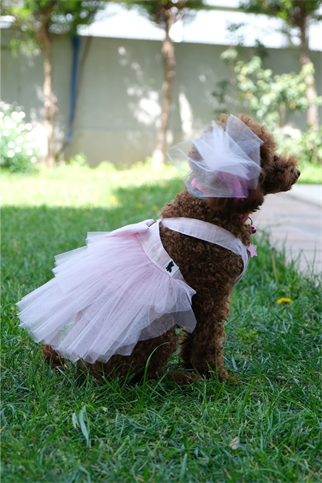 Doredog pembe fiyonklu tütülü elbise