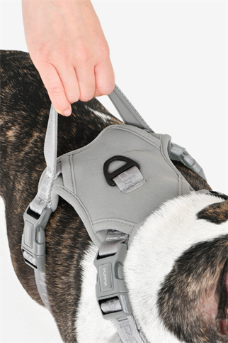 Jarek Harness H tipi Köpek Göğüs Tasması Gri 