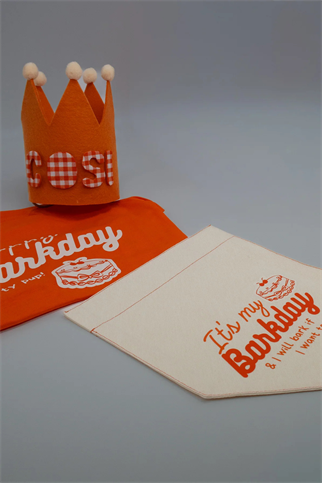 Asky&Erd Barkday Club Köpek Bandana | Turuncu