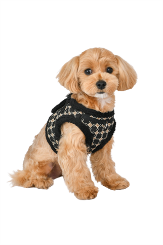 Puppia Jace Vest Köpek Göğüs Tasması - Siyah