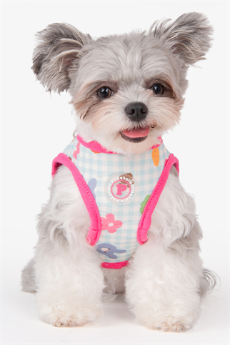 Pinkaholic New York Annabelle Vest Harness Göğüs Tasması Pembe