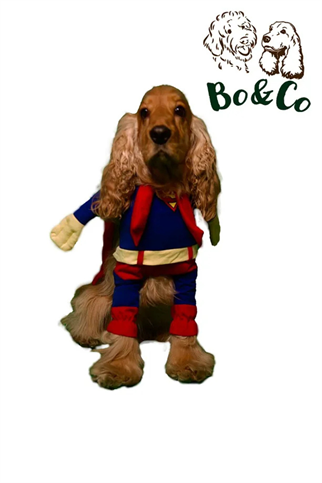 Bo&Co Superman Kostümü