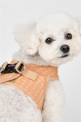 Pinkaholic New York Mila Harness B Göğüs Tasması Bej