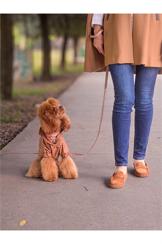 Zoë Pet Atelier × Lolidogs Köpek Yağmurluğu Caramel