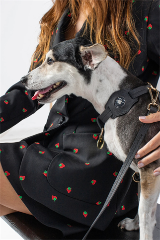 Zoe Pet Atelier Air Tag Kılıfı - Gece Siyahı