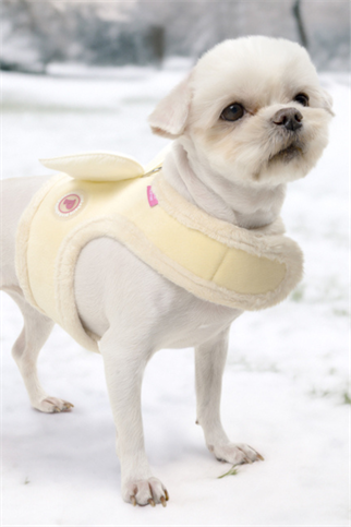 Puppia Peliah Pinka Harness Köpek Göğüs Tasması Sarı 