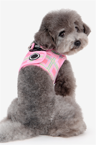 Jaylen Harness B Köpek Göğüs Tasması Pembe