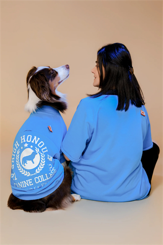 Asky&Erd AskyxHuman Canine College High Honour Sweatshirt | Turquiose Sprint