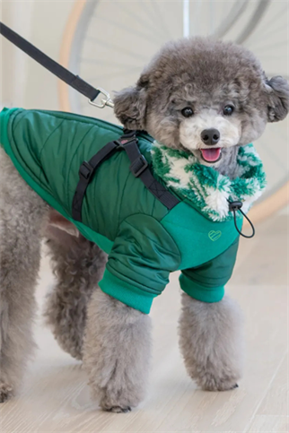 Pinkaholic New York Xenia Göğüs Tasmalı Köpek Montu Yeşil 
