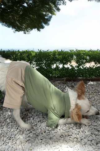 Ziggydog yeşil gömlekli krem pantolonlu tulum