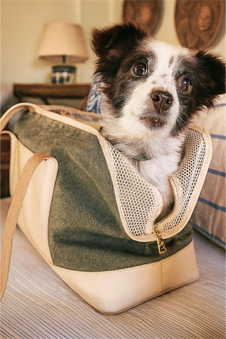 Zoe Pet Atelier City Carrier Köpek Taşıma Çantası Bej