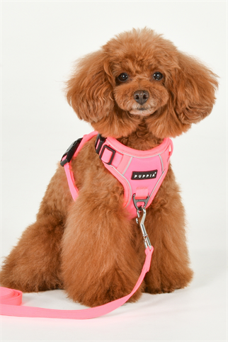 Puppia Neon Harness H Göğüs Tasması Pembe