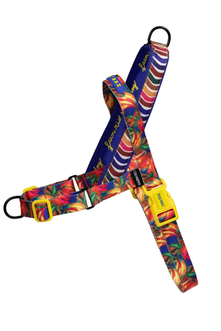 Zee.Dog Samba Softer Walk Köpek Göğüs Tasması - FARM Rio