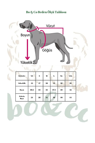 Bo&Co Superman Kostümü