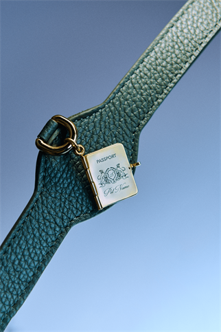 Passport Charm Tasma Aksesuarı