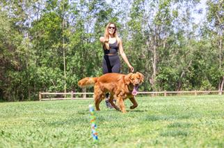Chuckit! Eco Fetch Stick Doğa Dostu Köpek Oyuncağı