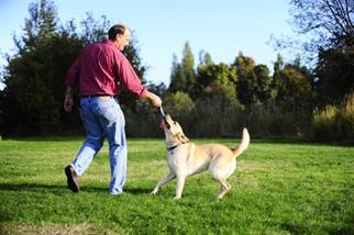 Chuckit! Ultra Duo Tug 2li Köpek Çekiştirme Topu (Orta Boy)
