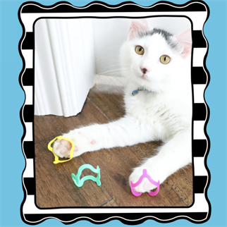 Fat Cat Crazies Kedi Oyuncağı