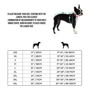 GF PET Gondola Köpek Tulumu