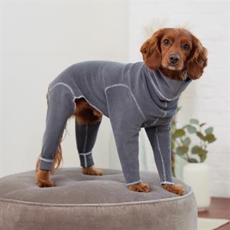 GF PET Gondola Köpek Tulumu