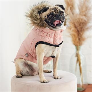 GF PET Urban Parka Köpek Montu - Pembe