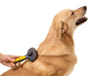 JW Gripsoft Basmalı Köpek Tarağı (Küçük Boy)