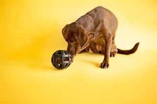 JW Hol-ee Roller Ultra Dayanıklı Köpek Oyun Topu