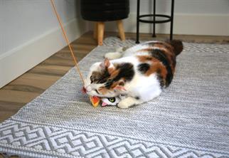 Mad Cat Hiss and Haunt Kedi Otlu ve Matatabili Oyuncaklı Kedi Oltası