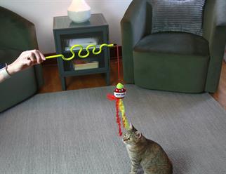 Mad Cat Nom Nom Kedi Otlu ve Matatabili Oyuncaklı Kedi Oltası