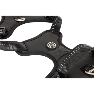 Matrix 2.0 Akıllı Künyeli Sport Köpek Göğüs Tasması - Siyah (S)