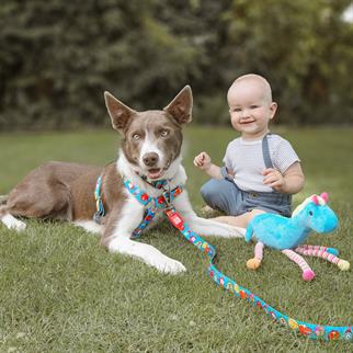 Max & Molly Little Monsters Köpek Gezdirme Kayışı