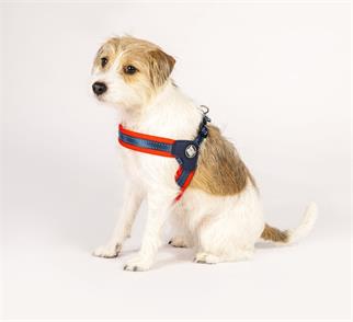 Max & Molly Matrix Red Q-Fit Köpek Göğüs Tasması