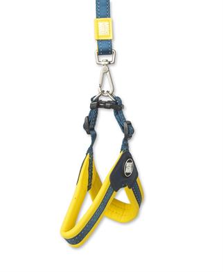 Max & Molly Matrix Yellow Q-Fit Köpek Göğüs Tasması