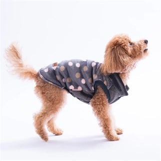 PawStar  25104 Bath Dots Yelek