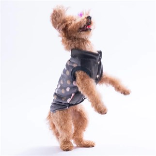 PawStar  25104 Bath Dots Yelek