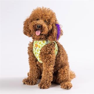 PawStar Airmesh Avocado Chest Collar