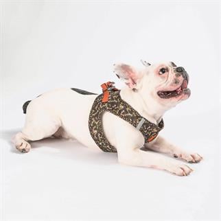 PawStar  Airmesh BrowNossa Göğüs Tasması