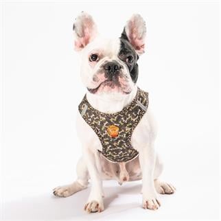 PawStar  Airmesh BrowNossa Göğüs Tasması