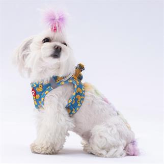 PawStar  Airmesh Ducks Göğüs Tasması