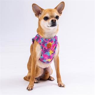 PawStar  Airmesh Rose Camouflage Göğüs Tasması