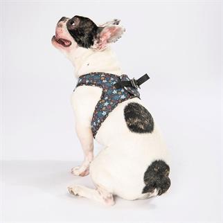 PawStar  Airmesh Stallae Göğüs Tasması