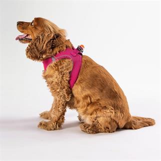 PawStar  Fucshia - Fuşya Airmesh Köpek Göğüs Tasması