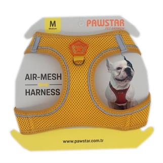 PawStar Gold Airmesh Dog Chest Collar
