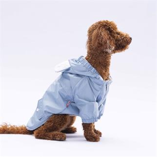 PawStar  Gri Sydney Yağmurluk Küçük ve Orta Irk