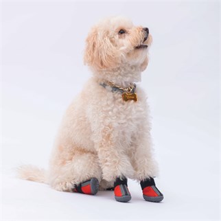 PawStar  Kırmızı Köpek Ayakkabısı