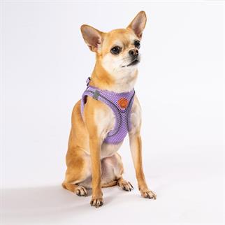 PawStar Lilac Airmesh Dog Harness
