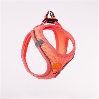 PawStar  Neon Pink - Neon Pembe Airmesh Köpek Göğüs Tasması