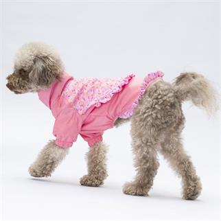 PawStar  Pembe Victoria Yağmurluk Küçük ve Orta Irk
