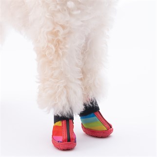 PawStar  Peru Köpek Ayakkabısı